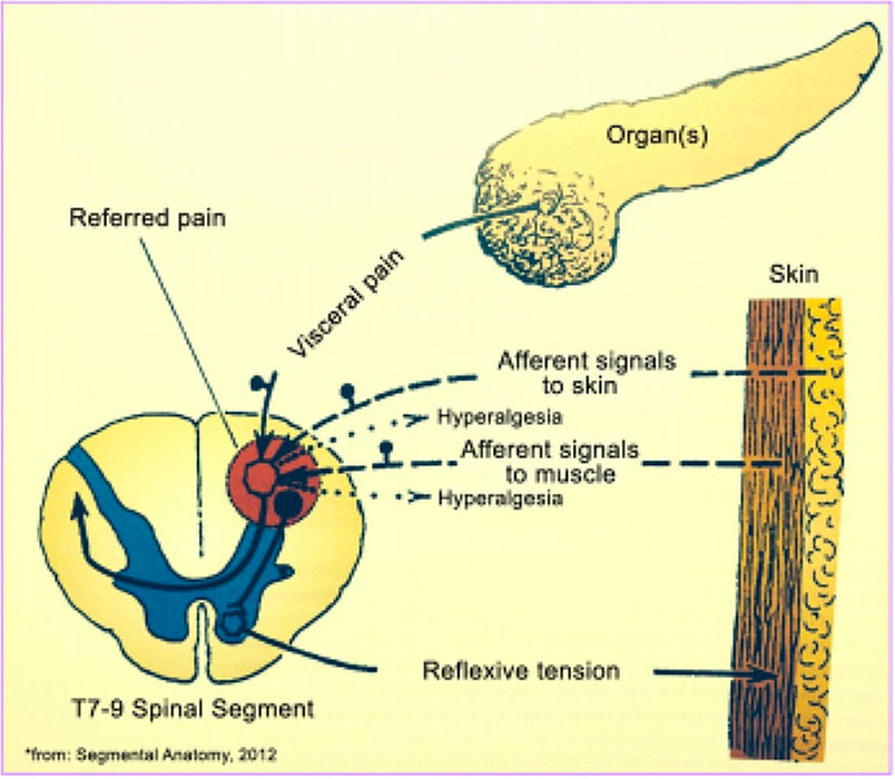 reflex relations